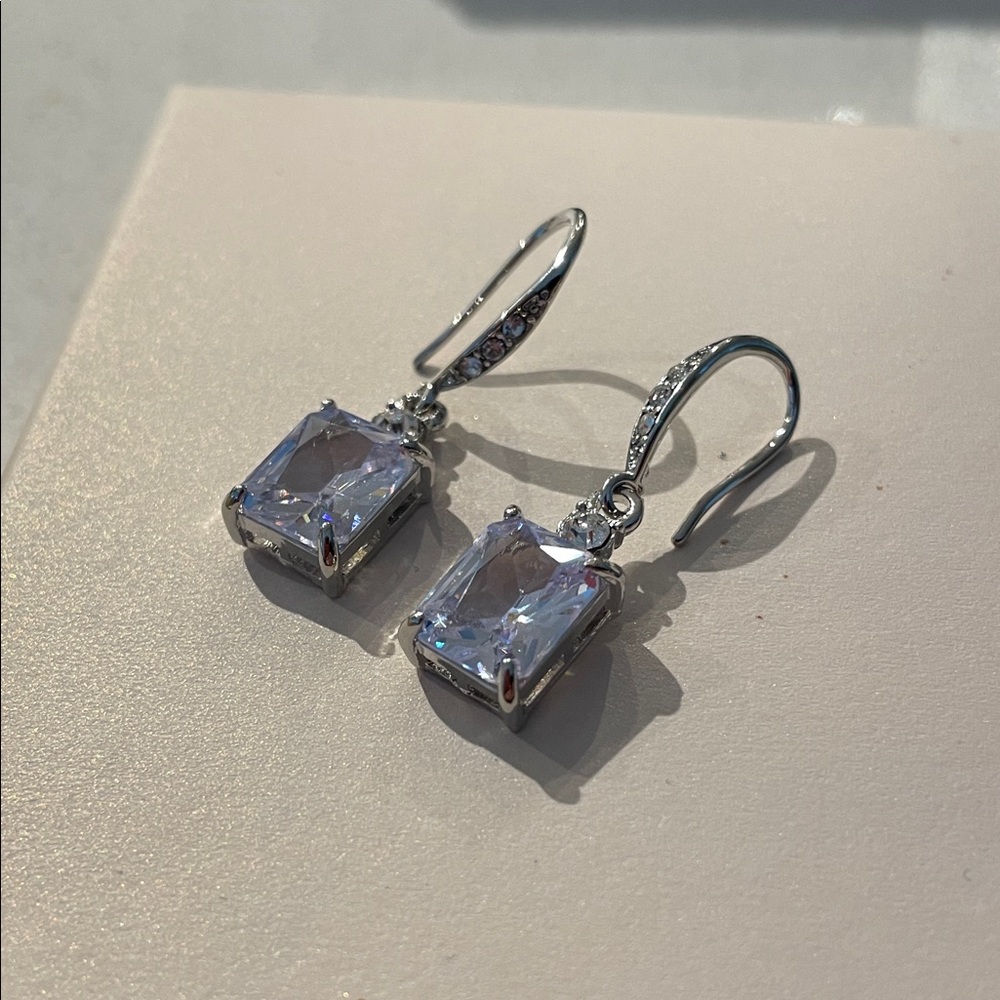 Elegant Silver Drop Earrings